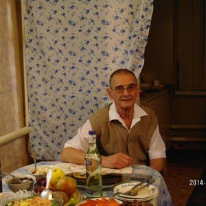 Саша, 77 лет, Воронеж