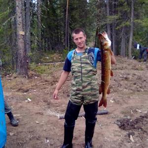 Александр Демьянин, 54 года, Курманаевка