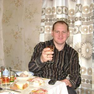 Дмитрий Зубехин, 45 лет, Саратов