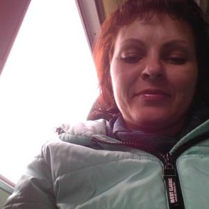 Екатерина, 41 год, Междуреченск