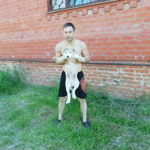 Парни в Ногинске: Михаил, 36 - ищет девушку из Ногинска