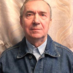 Владимир Денисов, 77 лет, Москва
