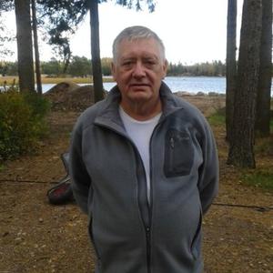 Александр Думачев, 70 лет, Санкт-Петербург