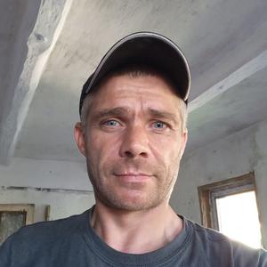 Виталий Зоря, 40 лет, Киев