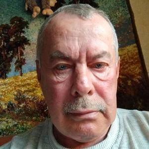 Игорь, 64 года, Тула