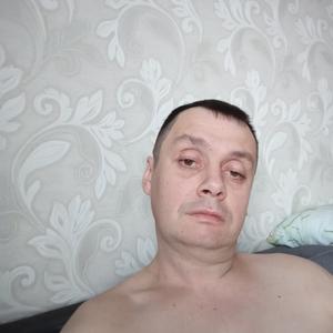 Олеголег, 39 лет, Барнаул