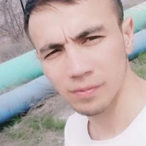 Аинур, 31 год, Астана