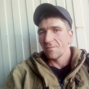 Виталий, 41 год, Курган