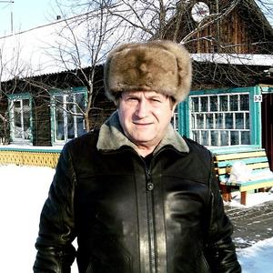 Владимир Харкевич, 70 лет, Красноярск