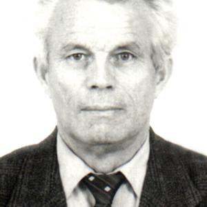 Виктор Иванов, 73 года, Москва