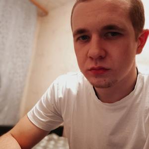 Николай, 22 года, Михайловка
