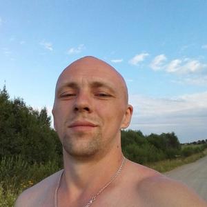 Тёма Березин, 33 года, Вологда