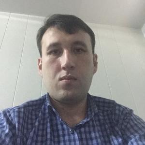 Rustam, 36 лет, Ташкент