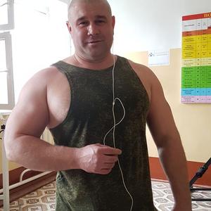 Andrej, 43 года, Стерлитамак