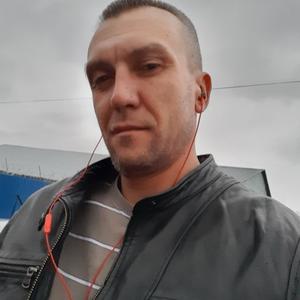 Илья Финн, 42 года, Тверь