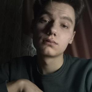 Андрій, 22 года, Киев
