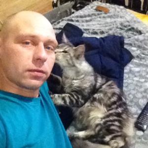 Андрей, 34 года, Архангельская