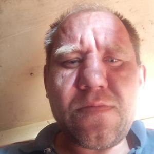 Владимир, 41 год, Тула