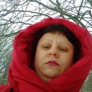 Елена, 39 лет, Брянск
