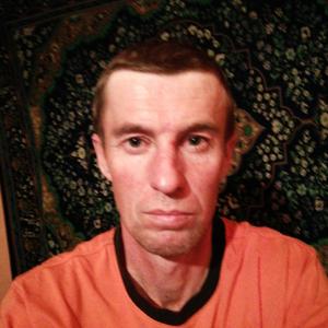 Василий, 41 год, Сочи