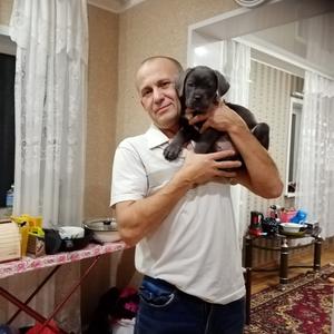 Александр, 50 лет, Краснодар