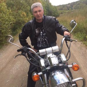 Анатолий, 63 года, Златоуст