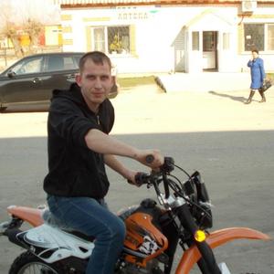 Сергей, 31 год, Староалейское