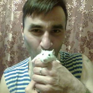 Алексей, 43 года, Малая Вишера
