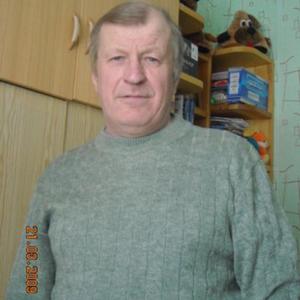 Nikolaj Kulyapin, 69 лет, Сарапул