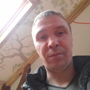 Сергей Греков, 38 лет, Сочи