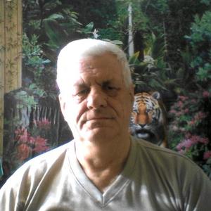 Парни в Коломне: Николай Архипов, 71 - ищет девушку из Коломны