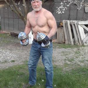 Алексей, 66 лет, Краснодар