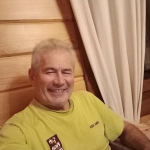 Анатолий Шарафудиноа, 62 года, Челябинск