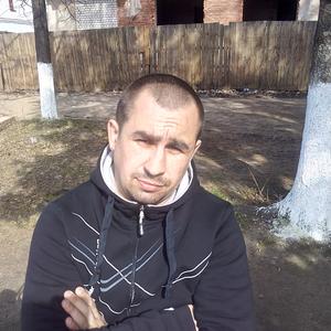 Евгений, 41 год, Шуя