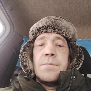 Александр Красильников, 45 лет, Семино
