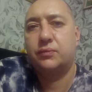Владимир, 44 года, Иваново