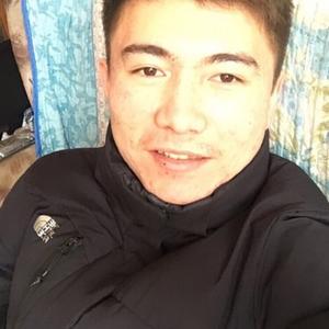 Галым, 24 года, Павлодар