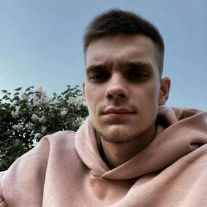 Никита Полищук, 24 года, Александров