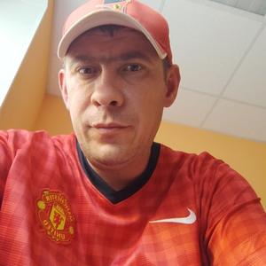 Сергей Мамон, 42 года, Саратов