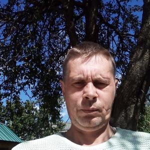Михаил, 51 год, Тула