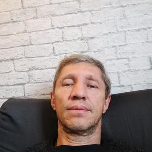 Владимир, 51 год, Чернь