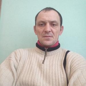 Vitalik, 42 года, Курск
