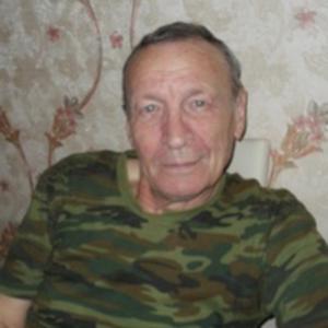Сергей Рыбаков, 67 лет, Новосибирск