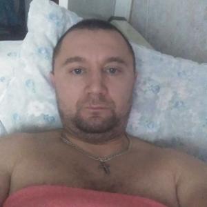 Александр, 41 год, Владимир