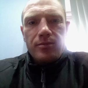 Михаил, 44 года, Псков