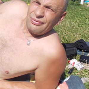 Kotik Kotik, 64 года, Зеленоград