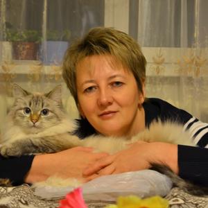 Елена, 49 лет, Людиново