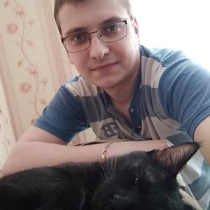 Парни в Мурманске: Сергей, 36 - ищет девушку из Мурманска