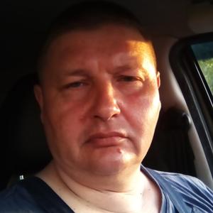 Александр Кучер, 58 лет, Сертолово