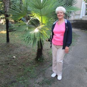 Галина Бондарь, 64 года, Шебекино